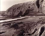 Nature in Sidi Ifni00065