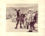 Camels of Ait Baamrane 19