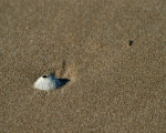 Atlantic Legzira Plage 39